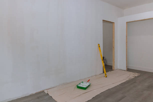 Best Drywall Sanding and Smoothing  in Lake Holiday, VA